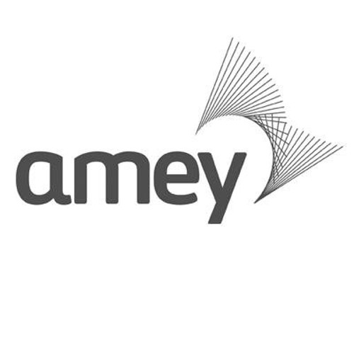 Chris Taylor, Amey