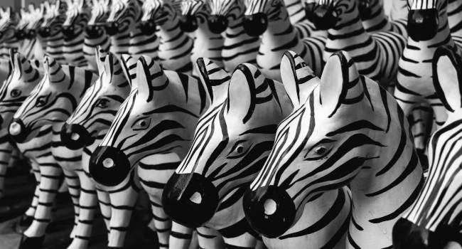 zebras